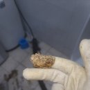 풍무동 당구장 이미지