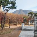 장자골로 이미지