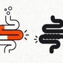 강동천호내과의원 이미지