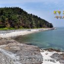 마도로스수퍼 Daum카페