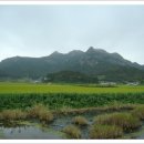 ◈ 비금도(飛禽島) 그림산(226m)·선왕산(仙旺山:255m) 산행(1) ◈ 이미지