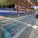 명륜초등학교 이미지