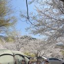 밀양표충오토캠핑장 이미지