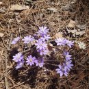 단양구경시장4 이미지