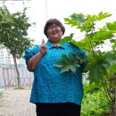 이안세탁소 이미지