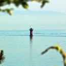 남해-299 이미지