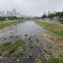 현암지하보도 이미지