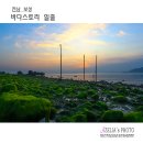 바다스토리리조트