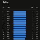 철원병원 | 철원DMZ마라톤 풀코스 완주실패(DNF) 후기