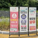 임실푸드 | [임실] 붕어섬 생태공원 후기 (옥정호출렁다리)