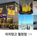 리치망고월정점