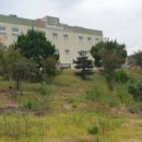 (주)디에이치씨 네이버블로그