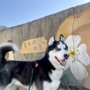 김성섭 농장 이미지