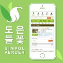 도은조경 | [심폴 입점사] 도은들꽃 🌱🏬 (다육식물/선인장/관엽...분경/수석/묘목/조경/인테리어/화분자재류/원예...