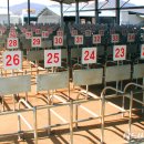 이동문농장 이미지