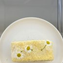 선유애견 이미지