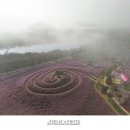 신소양체육공원 이미지