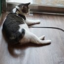 꼬물이공방 이미지