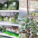 의평마을 이미지