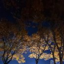 숯불에닭(두산점) 이미지