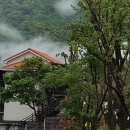 지리산녹차별펜션 이미지
