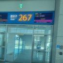 한잔수산 | 혼자 떠난 오사카 여행｜도톤보리 대기수산 회전초밥 솔직 후기와 사케 한잔 경험