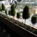 목원대학교 입구 이미지