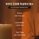 파인독(pine dog) | [53% 특가] 피부가 마시는 깊은 보습, 샤인버드 스웨덴 파인타르 비누팩 2개입 리얼 후기 및 비교 분석