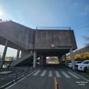 의성군공공재활용센터 | 난지캠핑장 바베큐존 후기 (자리 추천+준비물 꿀팁 총정리)