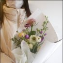 노브/노브 이미지