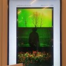 마당말들 이미지