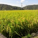 죽전마을회관 이미지