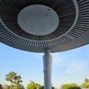 어등산CC 더울때는 별보며 야간 노캐디라운딩이 최고.