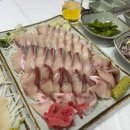 [노량진_노량진회센타/오징어야] 회쟁이의 노량진 방어 나들이