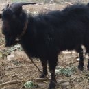 재경농장 이미지