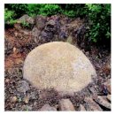 무지내동 태봉 이미지