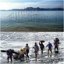 은빛물고기 이미지