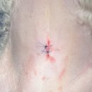 여울동물병원 이미지