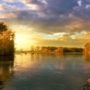 아로마라이프 이미지