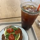 삼덕애견 이미지