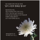 전남 무안공항 여객기 추락 슬픈 비보에 "삼가 고인의 깊은 명복을 빕니다" 이미지