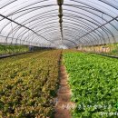 삼현농장 이미지