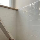 고양이 미용& 호텔 우연히, 캣 이미지