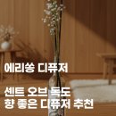 독도오브 | 향 좋은 디퓨저 추천 내돈내산 비클린 다산 현대프리미엄아울렛 에리쏭