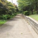 윤강 선생 묘 및 신도비 이미지