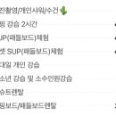 선인장서프 네이버블로그