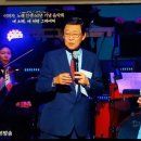 이미자 Daum카페