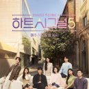 시그널8