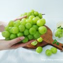 피뜰농원