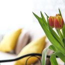 한국개발연구원(KDI) 이미지